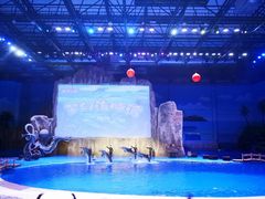 -华夏文旅海洋公园