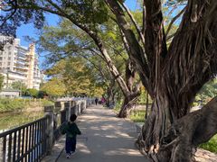 -晓港公园