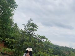 -桃源山庄·烤全羊·柴火鸡·烧烤团建(龙泉山店)