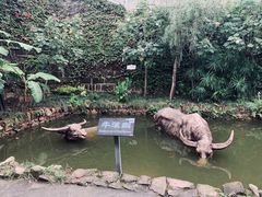 -燊海井