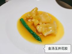 -觀芷隐轩