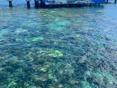 -三亚西岛海洋文化旅游区