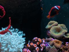 -成都浩海立方海洋公园