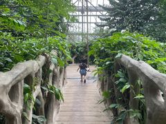 -南山植物园