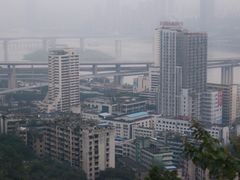 -一只酸奶牛(八一路店)