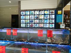 水产区-金海湾海鲜排档(朱家尖店)