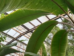-呀路古热带植物园