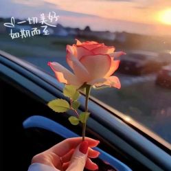 -香薇妮丝·定制减肥·身材管理