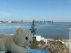 -朵云书院(滴水湖店)