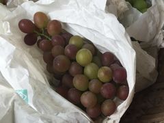 -马陆小张葡萄园农家乐