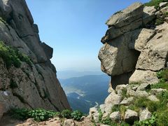 -芦芽山旅游度假区