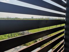 -春花秋色城市公园