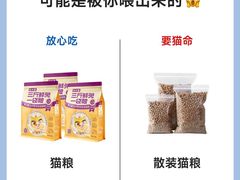 -猫十亿·布偶金渐层·曼基康矮脚猫舍(青年路店)