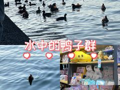 -杭州湖滨in77