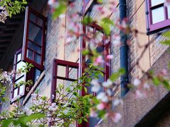 -武汉大学-樱园