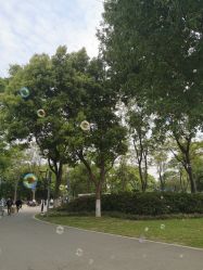 点击看大图 -玄武湖景区-情侣园游乐场