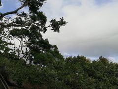 -赤柱马坑公园