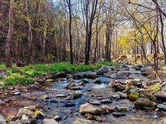 -玉渡山自然风景区
