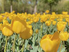 -长春公园(普阳街道)