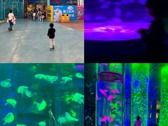 -海合安成都极地海洋公园