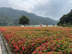 -广州市石门国家森林公园