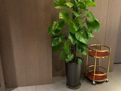 -锦庐道地川菜(来福士店)