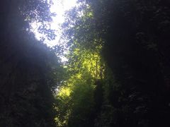 -华蓥山天意谷景区