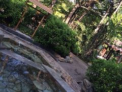 iphone_upload_pic-厦门日月谷温泉渡假村