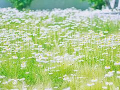 -龙美术馆西岸馆-停车场