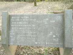 -西湖风景区十里琅珰-五云山