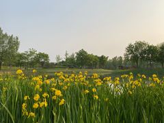 -东郊湿地公园