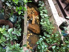 -宝翠花园餐厅(沙湖店)