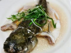 -稻香酒家·34年老字号·港式粤菜(侨光店)