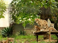 -西安秦岭野生动物园