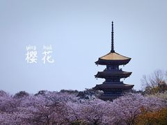 -东湖磨山景区