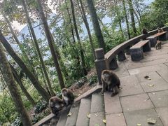-峨眉山风景名胜区