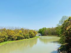 -上海海湾国家森林公园