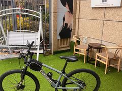 -道路口单车爱瓦士dahon大行