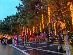 -青岛方特梦幻王国