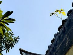 -采石矶景区