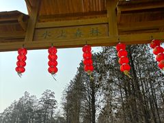 -渌洋湖湿地公园