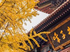 -宝通禅寺