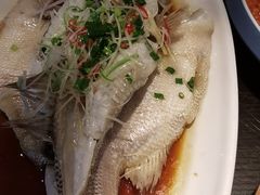 -陶然风味园(广场路店)