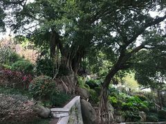 -乌山风景区