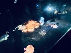 -同济大学四平路校区深海探索馆