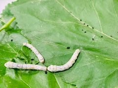 -悦藤爱托育早教中心(华凌公馆店)