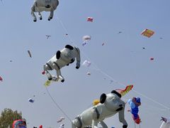 -潍坊滨海云门国际风筝放飞场
