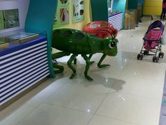 -上海昆虫博物馆