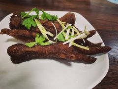 -阜阳格拉条(宝荻路店)