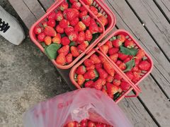 -樱桃山旅游景区